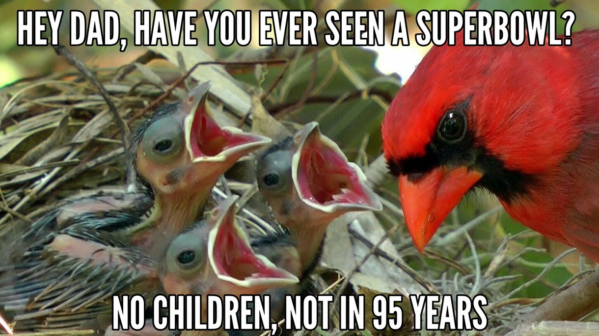 Arizona Cardinals suck - meme