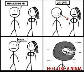 el titulo es un ninja - meme