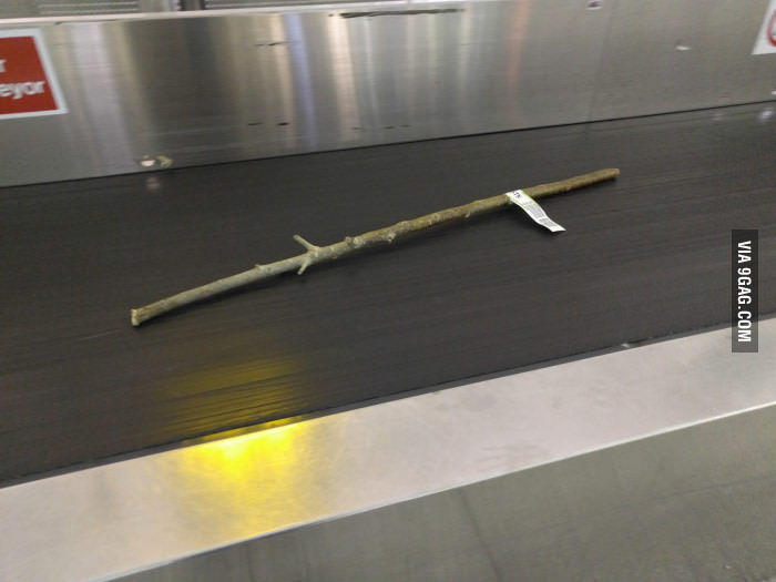 Somebody checked in a stick at the airport - meme