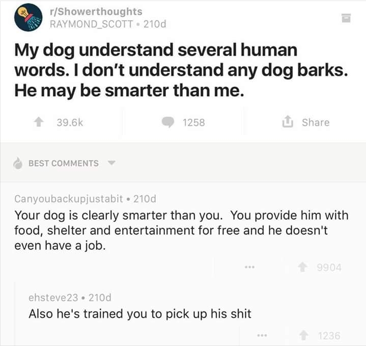 Doggos are smarter than humans - meme