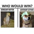 Which doggo?