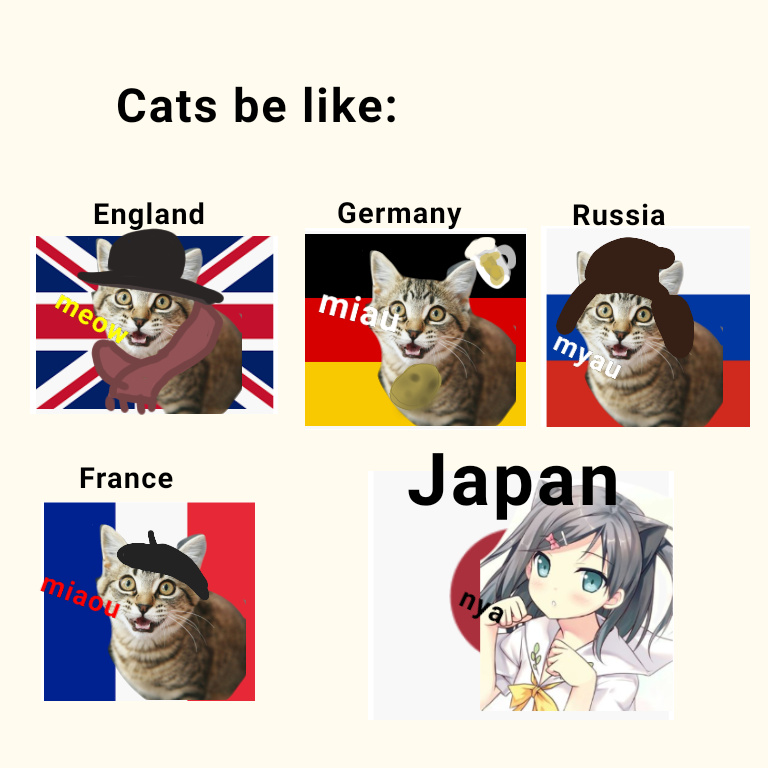Cats be like - meme