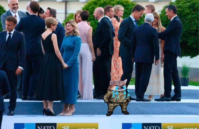 Zelensky at the NATO Summit - meme