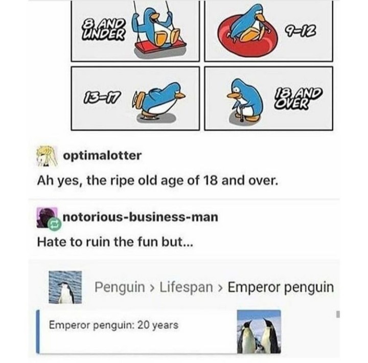 Club penguin - meme