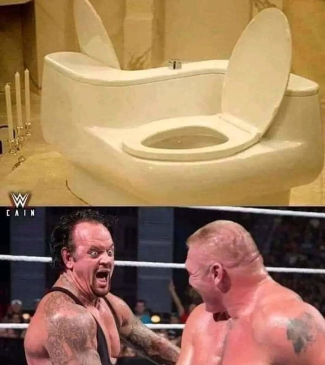 A toilet for you and your best friend. - meme
