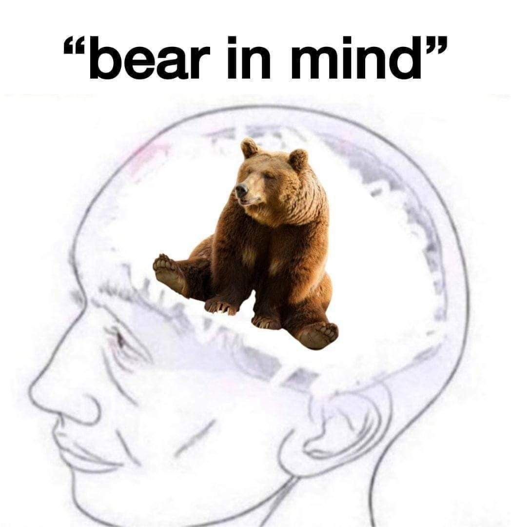 Bear-ain - meme