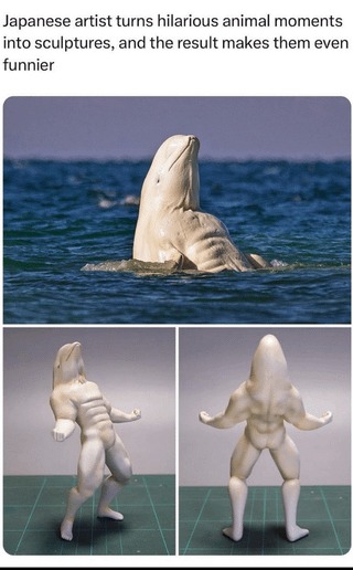 Esta beluga está mamadísima. Creo que es una beluga - meme