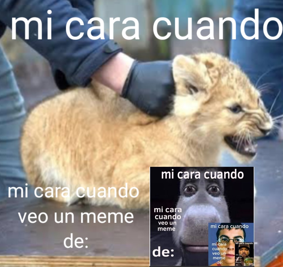 Don - meme