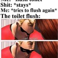 toilet said no