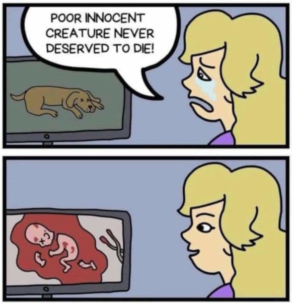 Poor innocent creature (T_T) - meme