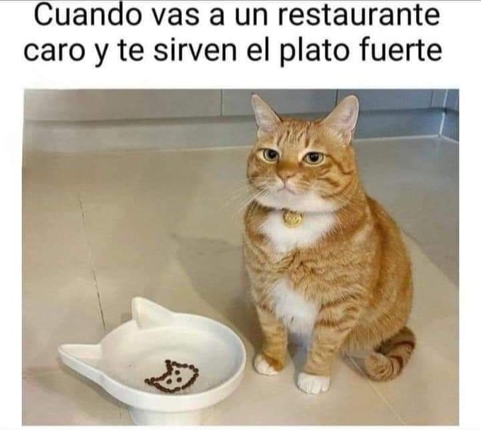 Meme de restaurantes caros