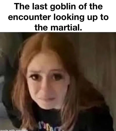 Last goblin seeing the martial like it's his final anime episode - meme