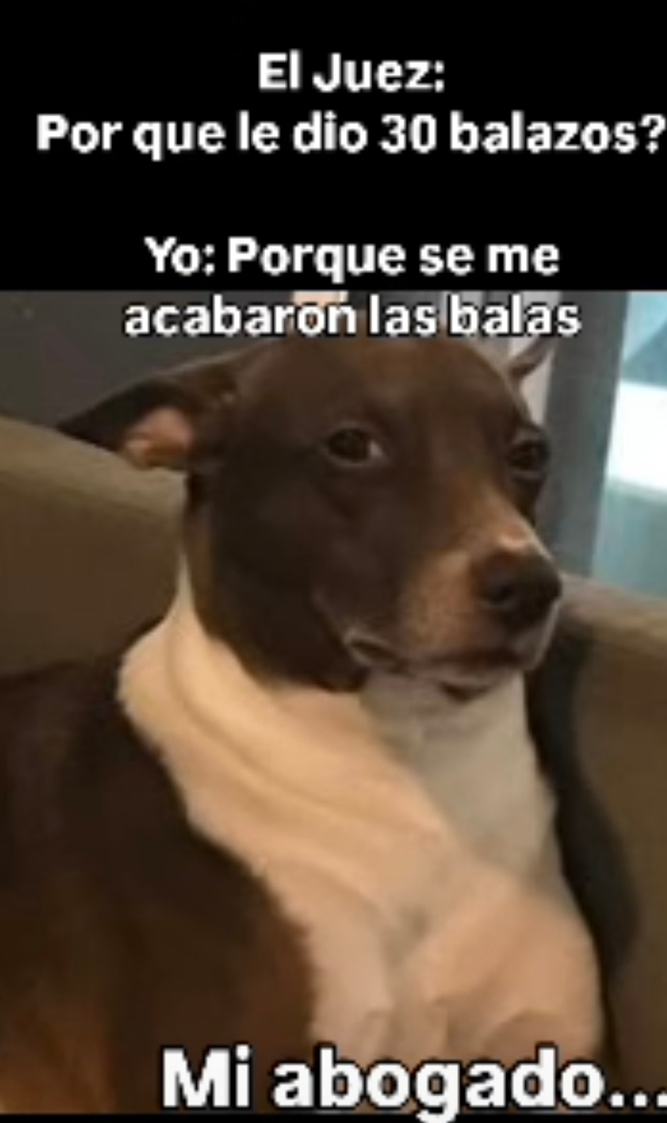 el juez: por qué 30 balazos? yo: porque se me acabaron las balas - meme