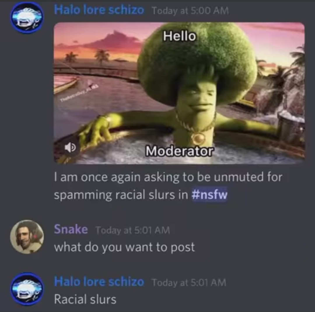 Attention all moderators I'm going to say the n word - meme