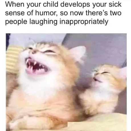 Laughing together - meme