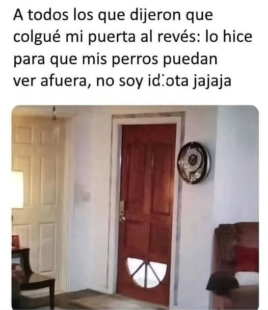 Mi puerta está al revés? No, es una TV para perros - meme