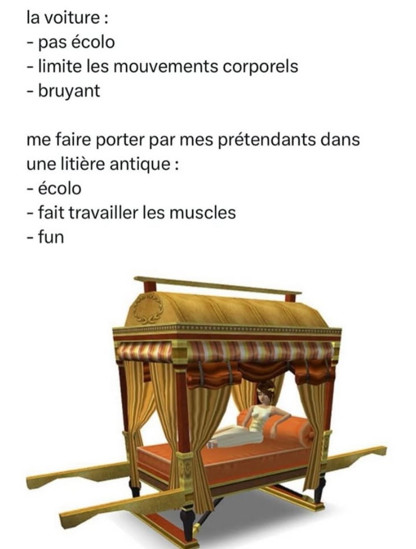 Option A : voiture pas écolo. Option B : être porté comme Cléopâtre. Moi : B. - meme