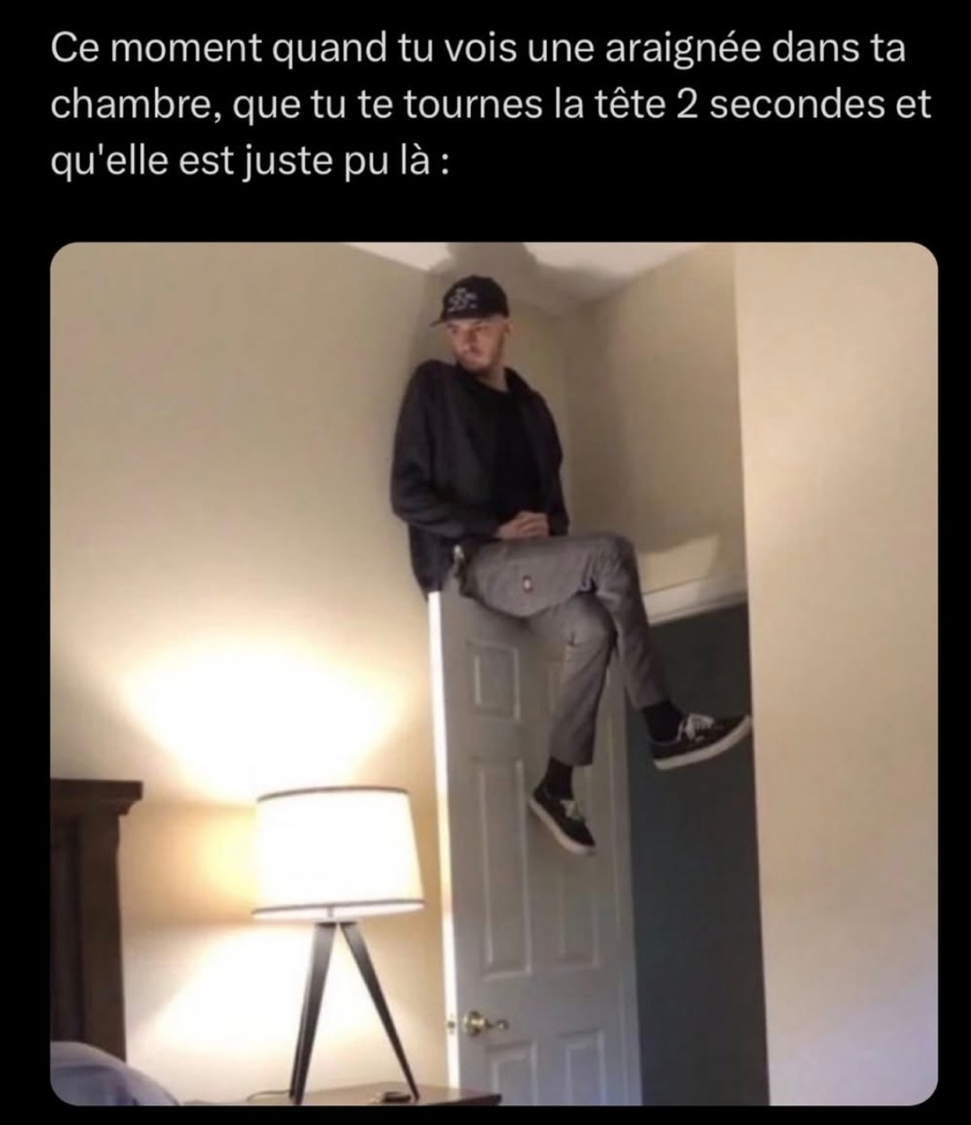 L'araignée ninja a encore disparu  - meme