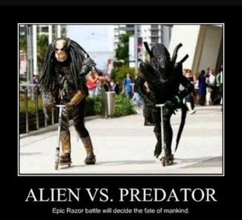 Alien vs predator - meme