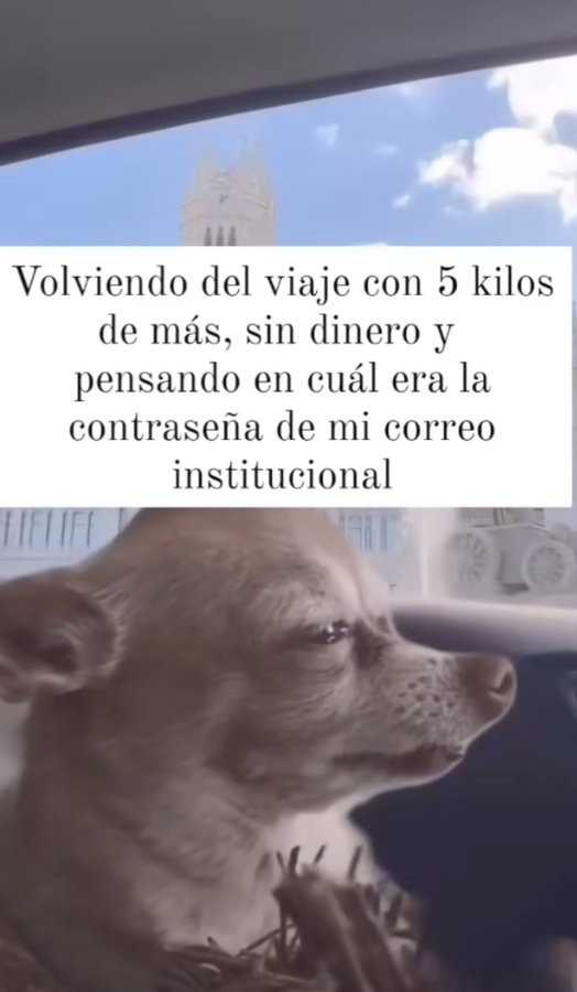 arrepentimiento post viaje - meme