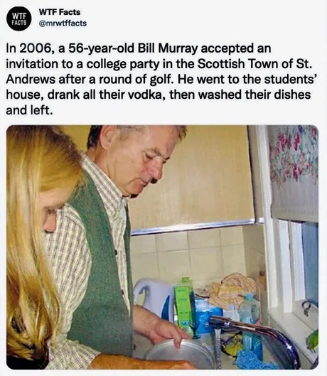 Bill Murray experience - meme