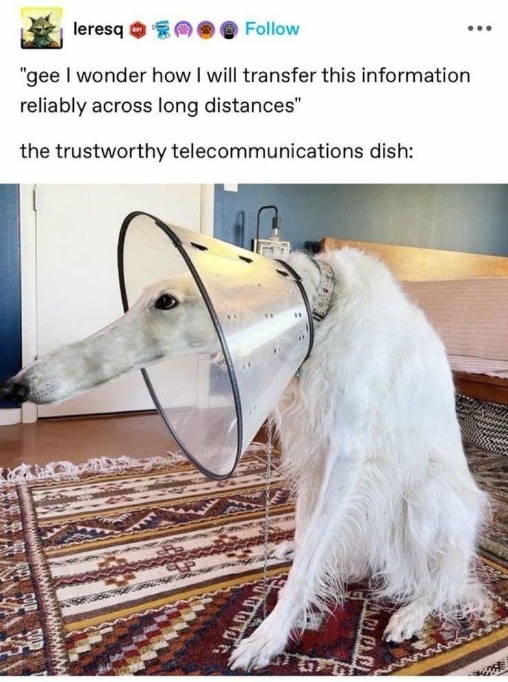 Wonder how will we transfer this information reliably across long distances? - meme