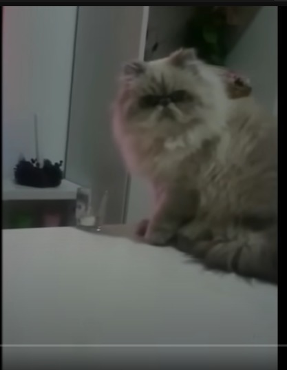 me when my mom say she having another kid - meme