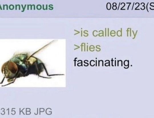 >is called fly >flies fascinating - meme