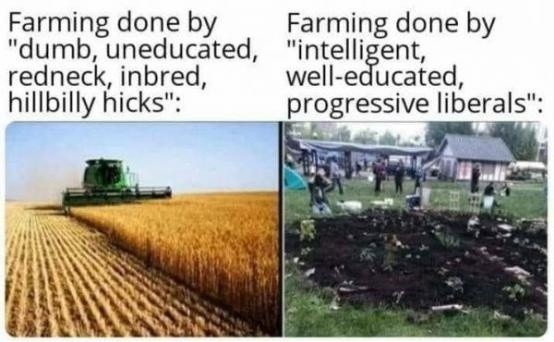 Farming - meme