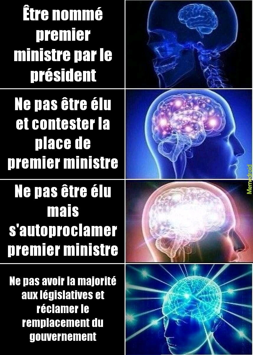 France trop insoumise - meme