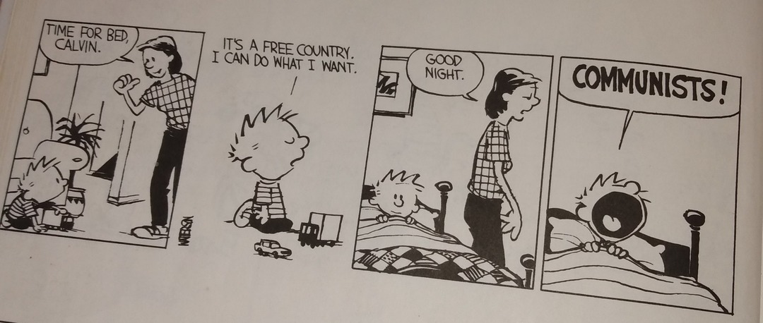 Calvin and Hobbes - meme