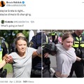The Greta Thunberg with big tits meme was a photoshop edit