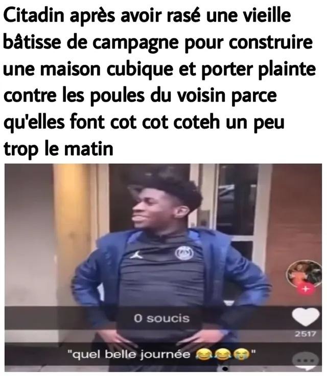 Raser une ferme pour une maison cubique, puis se plaindre des poules - meme