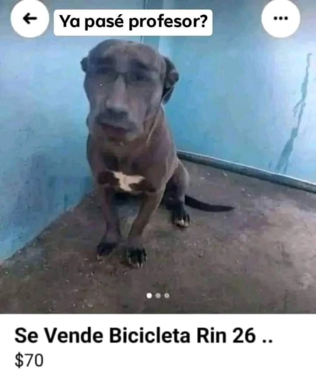 Si? - meme