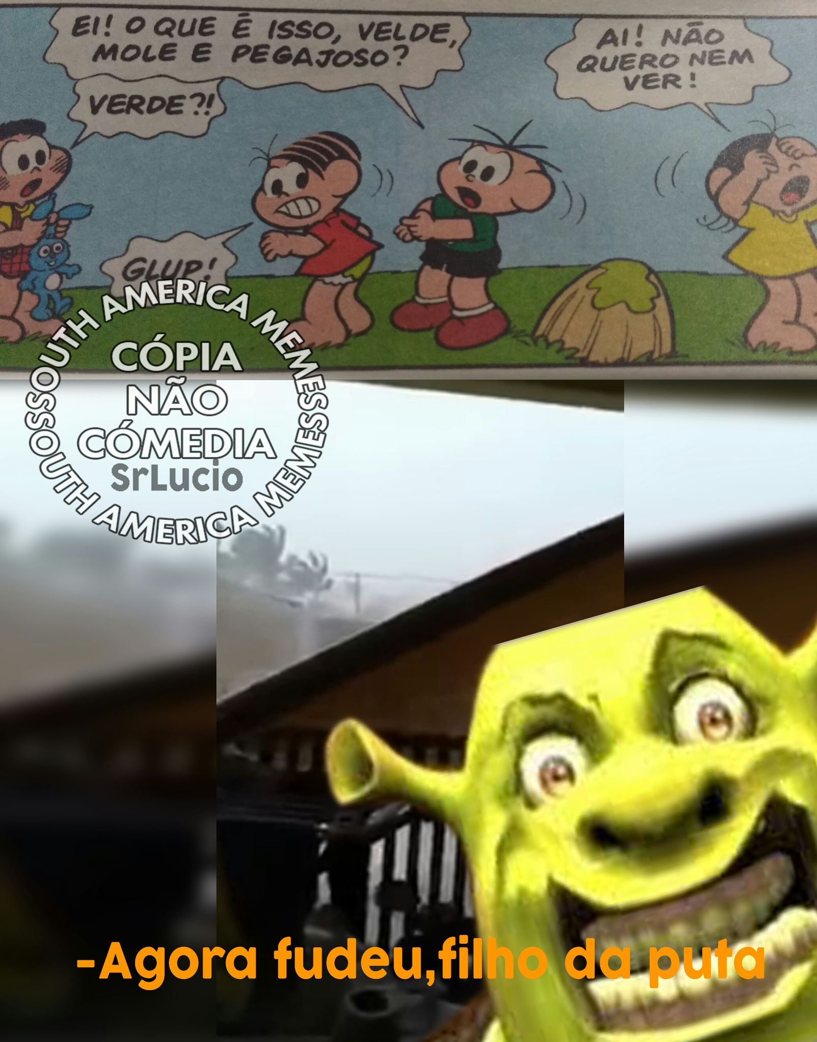 shrek fudido - meme