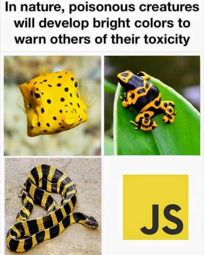 JS is the bastard child of satan & a web developer on heroin - meme