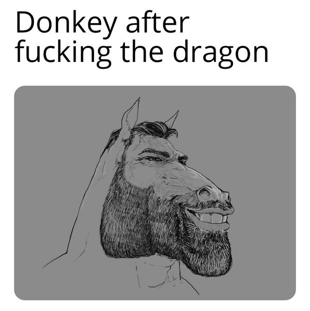 Donkey after fucking the dragon - meme