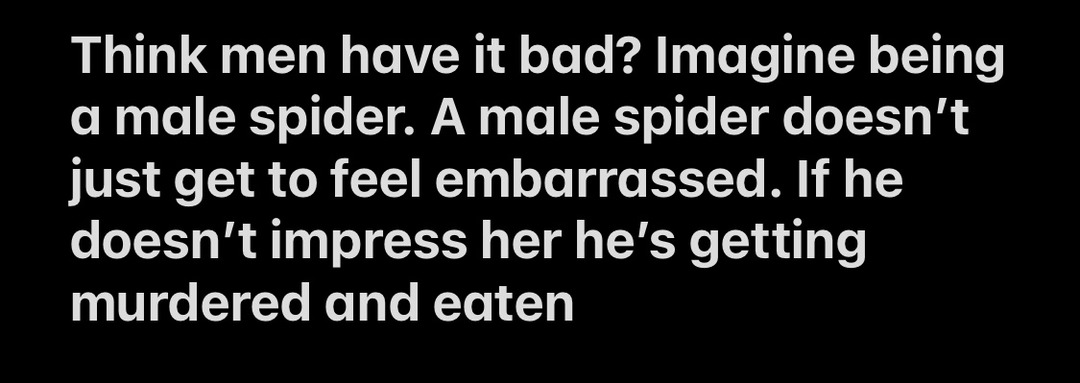 male spider homies - meme