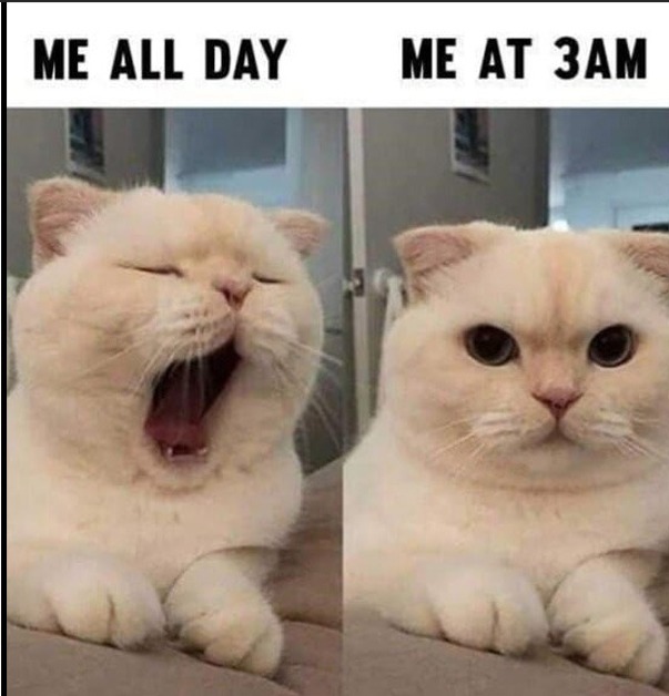 me all day vs me at 3 am: - meme