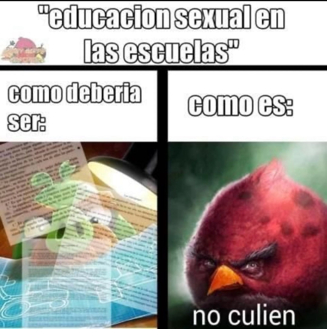 no follen - meme