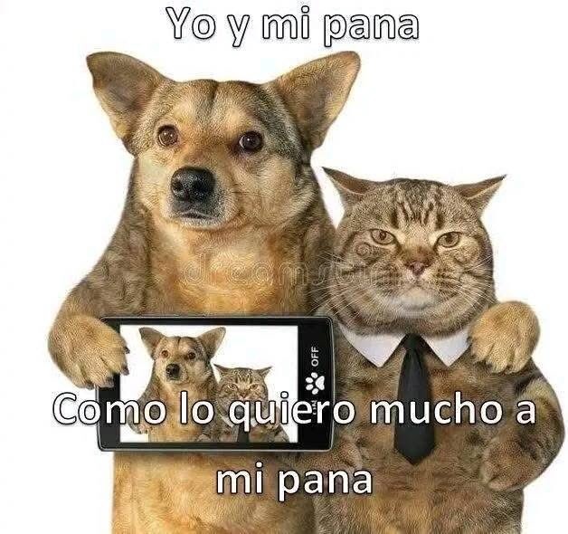 top fotos con mi pana - meme