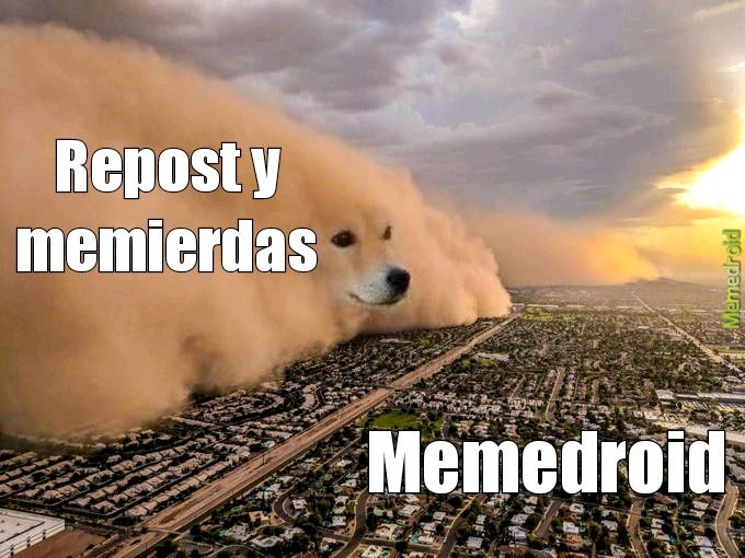 real - meme