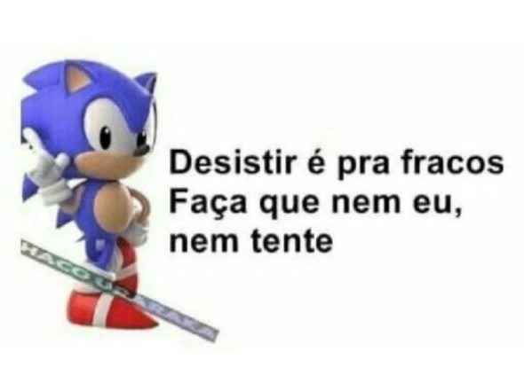 SONIC E SEUS CONSELHOS DO CAOS - meme