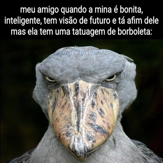 Tio Tério, o seu coveiro favorito. - meme