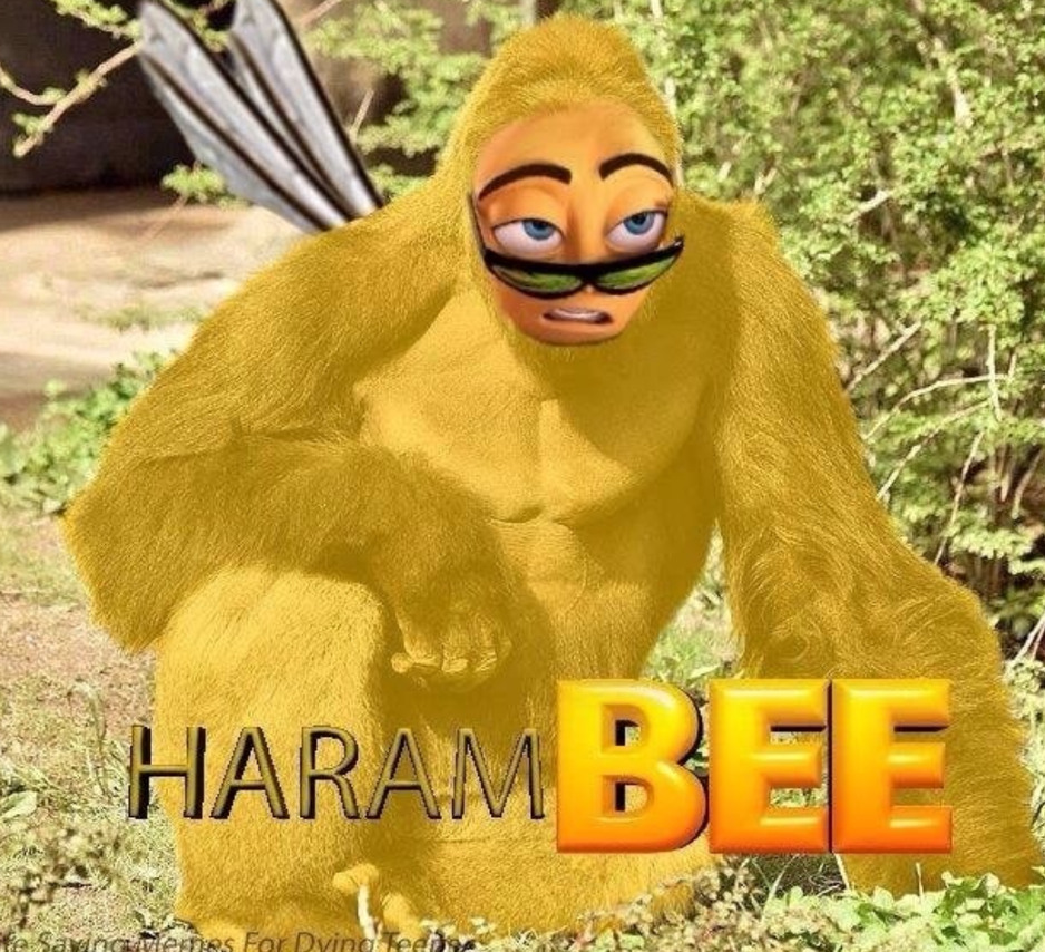 rip harambee - meme