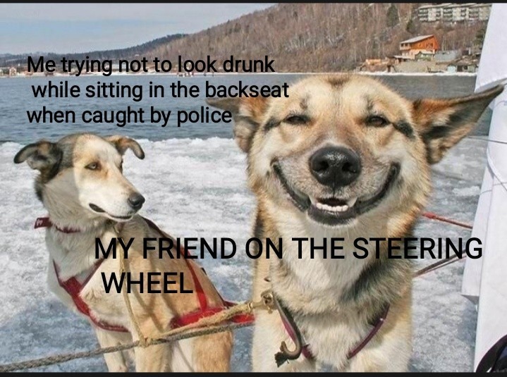 Do not drink and drive - meme
