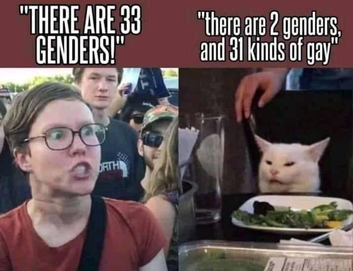 33 genders - meme
