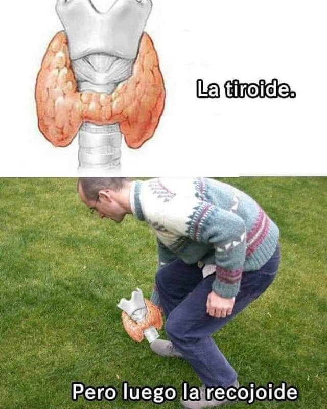 Meme de tiroides