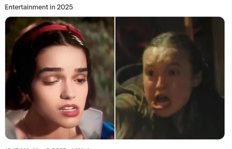 Entertainment in 2025: we peaked or spiraled - meme
