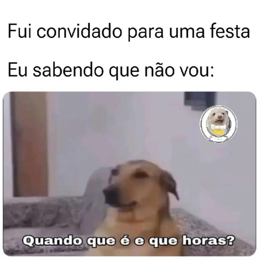 Vou ver e te aviso - meme
